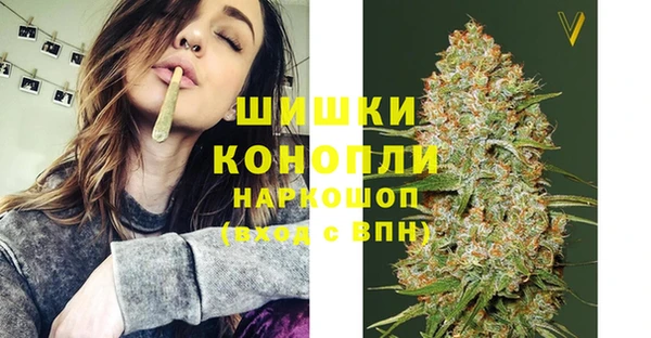 ГАЛЛЮЦИНОГЕННЫЕ ГРИБЫ Медногорск