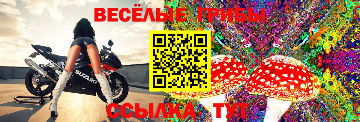 Галлюциногенные грибы GOLDEN TEACHER Урай
