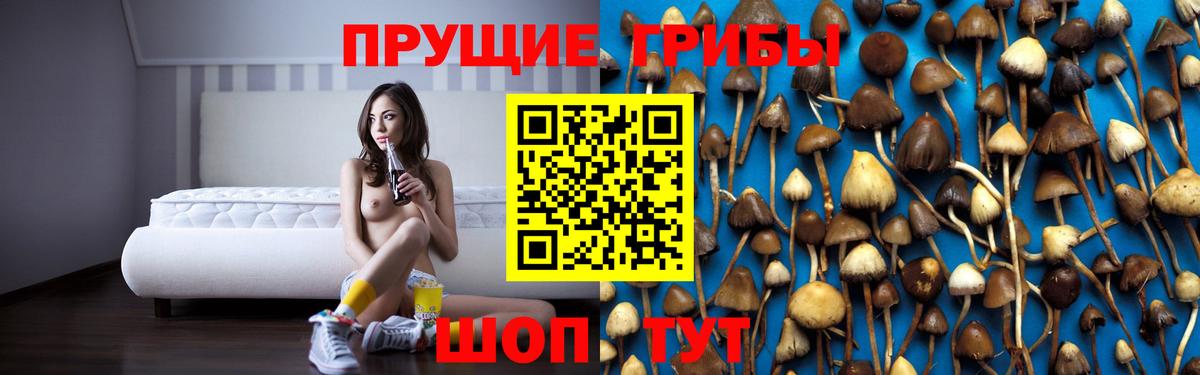 Галлюциногенные грибы Psilocybe  Галлюциногенные грибы ЛСД  Вход с VPN  Урай 